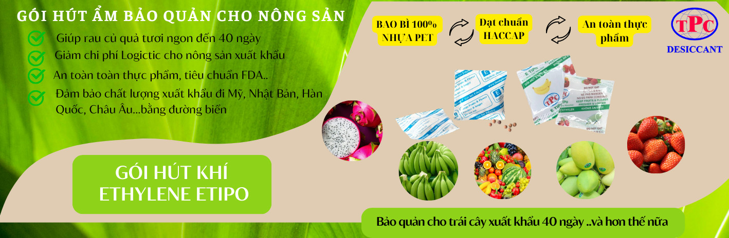 Home-2 6 Banner Slide Thịnh Phong Corp