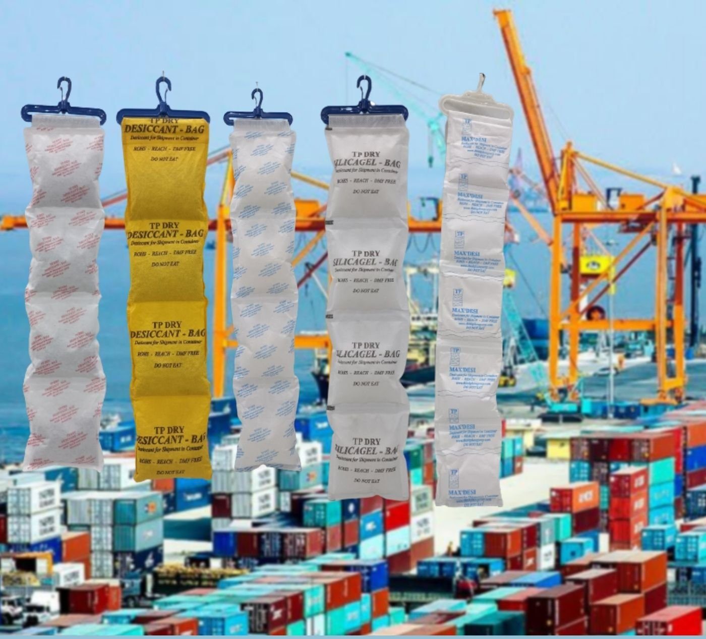container e1651113814878 11