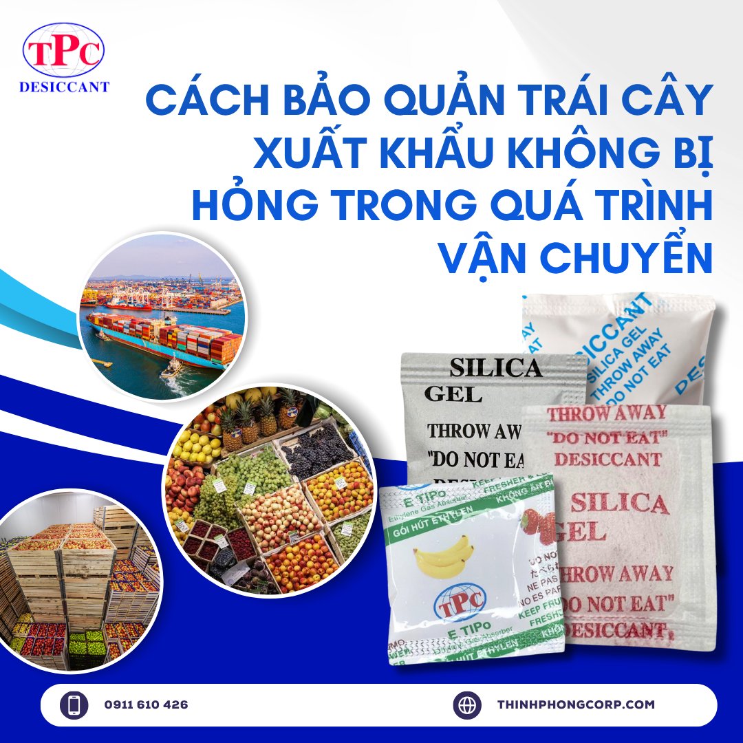 Cách bảo quản trái cây xuất khẩu không bị hỏng trong quá trình vận chuyển