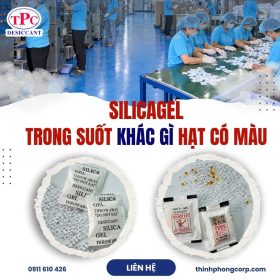 Silica Gel Trong Suốt Khác Gì Hạt Có Màu